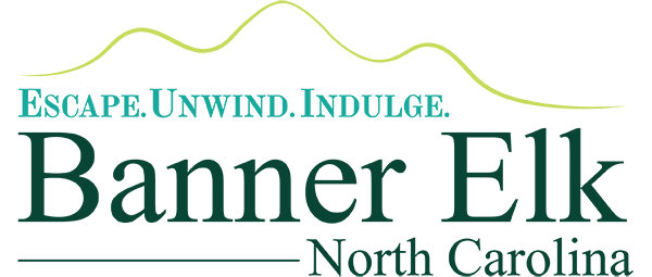 Banner Elk Tda Logo