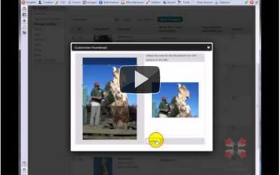 Gallery Posting and Manipulation with NextGen WordPress