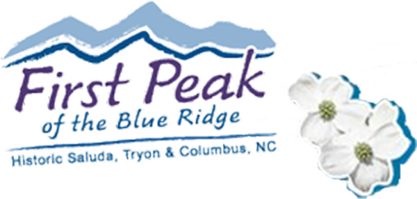 NC Mountain Logo